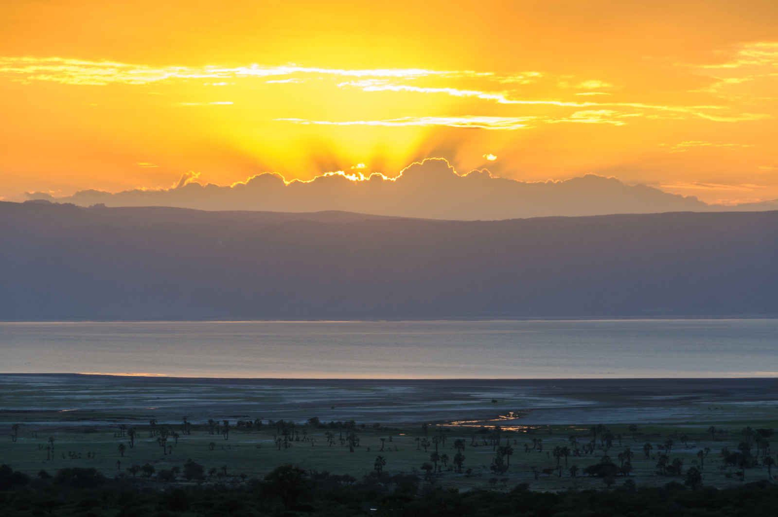 Tanzanie grandeur nature pas cher photo 2