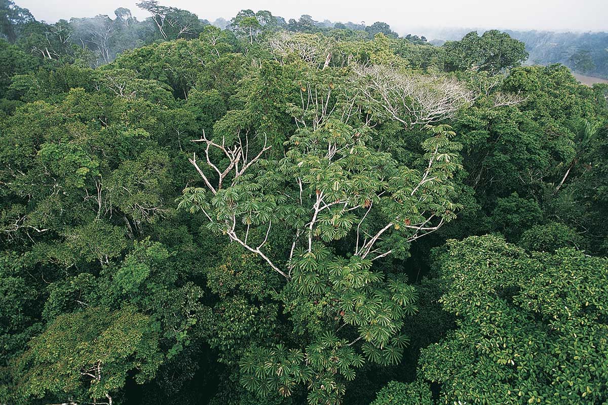 Circuit Fabuleux Pérou + Extension Amazonie péruvienne pas cher photo 12