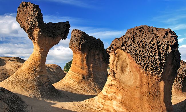 CONFIDENTIEL TAIWAN pas cher photo 5