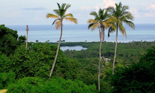 1ER REGARD COLOMBIE & 2 NUITS SANTA MARTA pas cher photo 9
