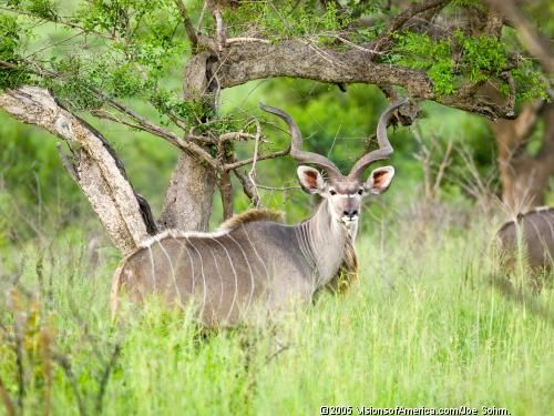 Circuit Grandeurs et magie d'Afrique du Sud + extension aux Chutes Victoria pas cher photo 3
