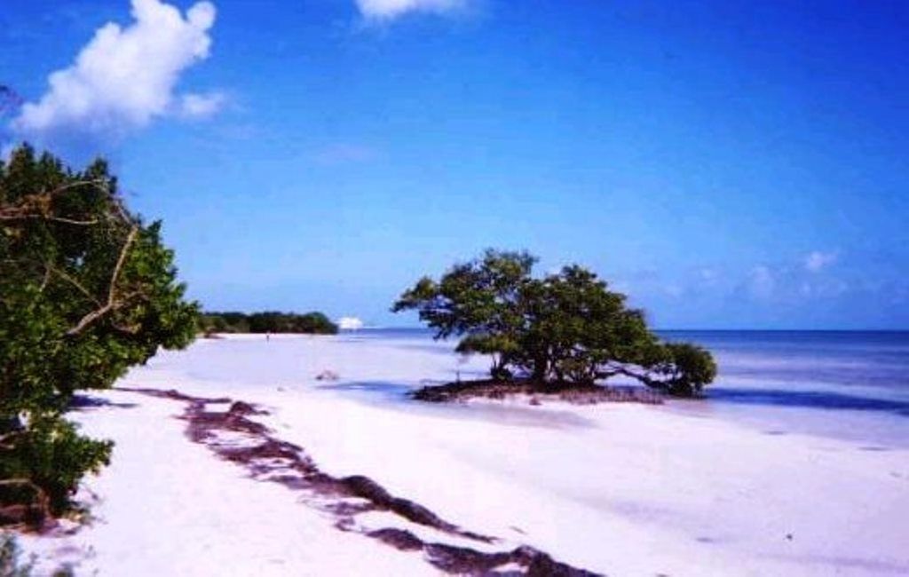 DE NEW YORK A KEY WEST - 13J/11N - 2019/20 pas cher photo 4