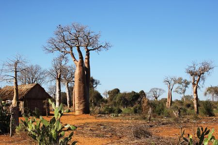 Splendeurs de Madagascar & extension Salary 16J/13N - 2020 pas cher photo 3