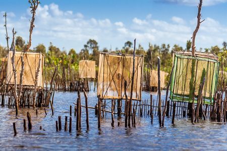 Splendeurs de Madagascar & extension Salary 16J/13N - 2020 pas cher photo 9
