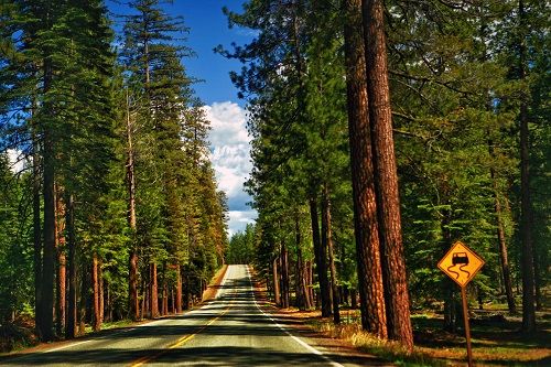 Splendeurs de l'Ouest des USA & Côte Pacifique - Version Confort 14J/12N - 2020 pas cher photo 7