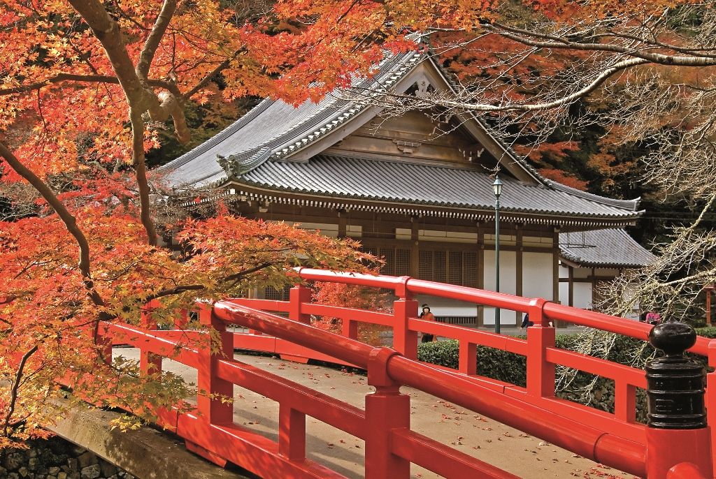 LES INCONTOURNABLES DU JAPON - 11J/ 8N - Limité à 28 pers. 2020 pas cher photo 1