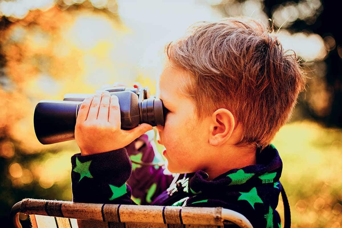 Circuit Chuuut... le lion dort ! pas cher photo 1