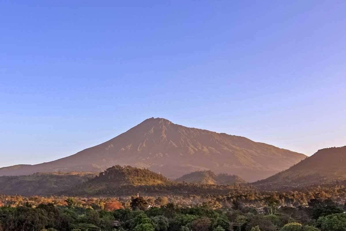 Circuit Chuuut... le lion dort ! pas cher photo 2