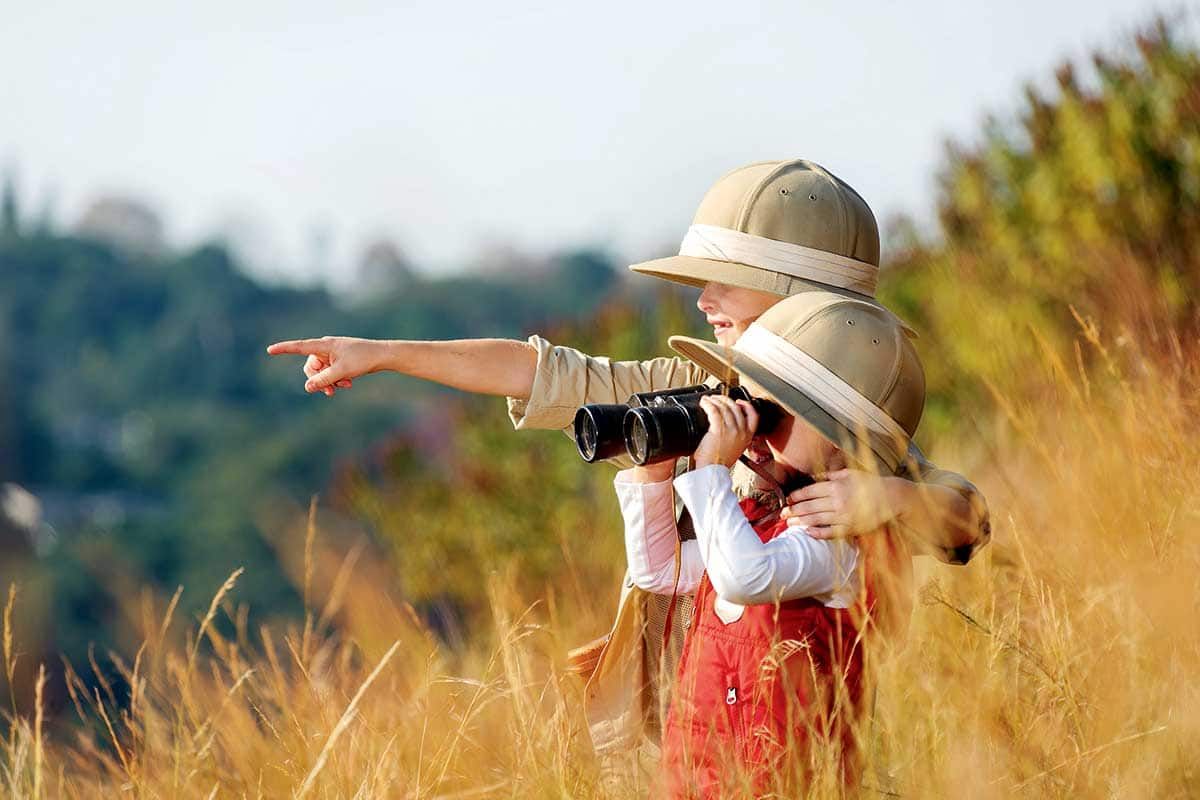 Circuit Chuuut... le lion dort ! pas cher photo 3