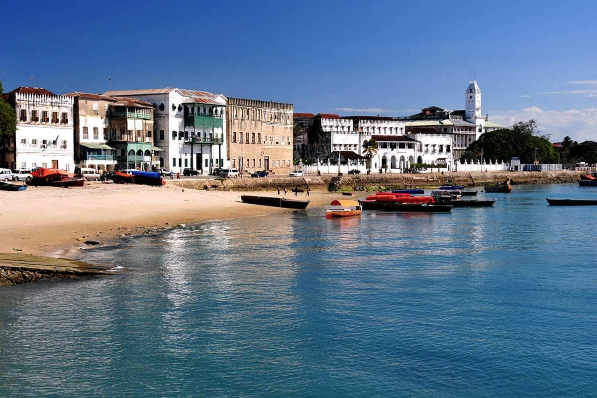 Circuit Chuuut... le lion dort ! pas cher photo 12