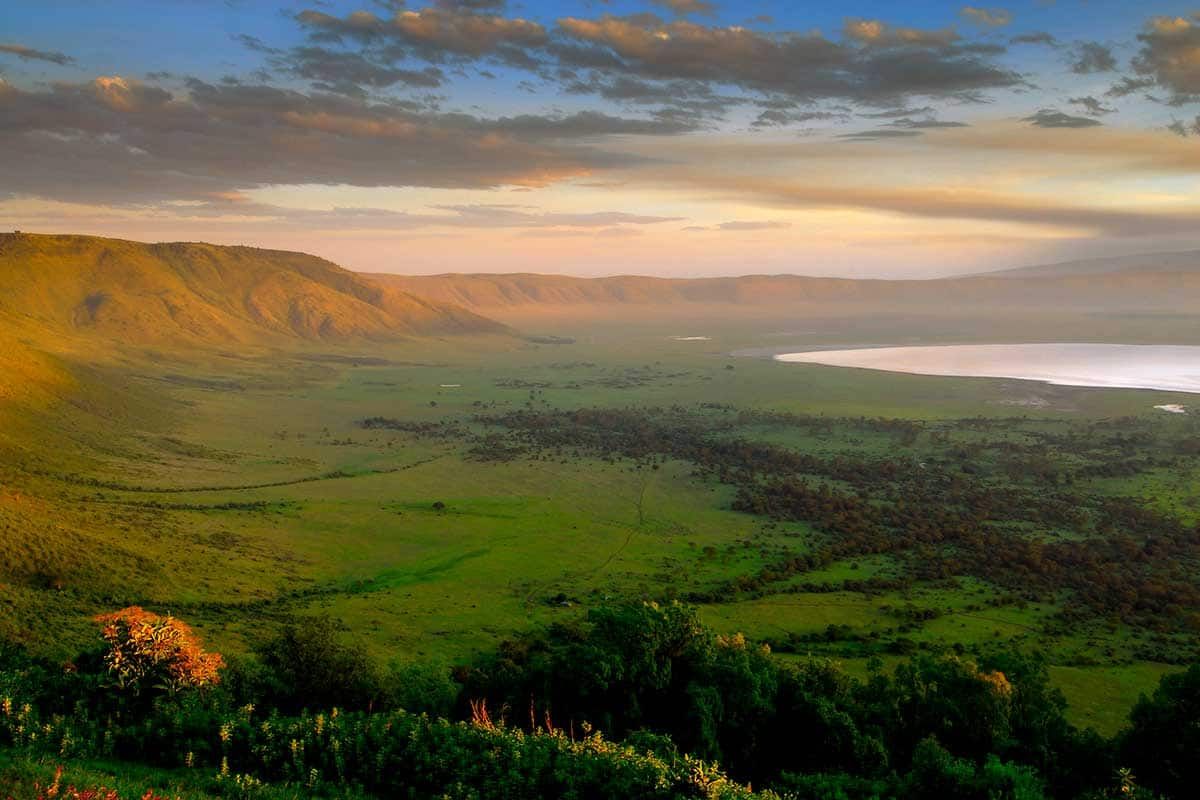 Circuit Safari Tembo pas cher photo 5