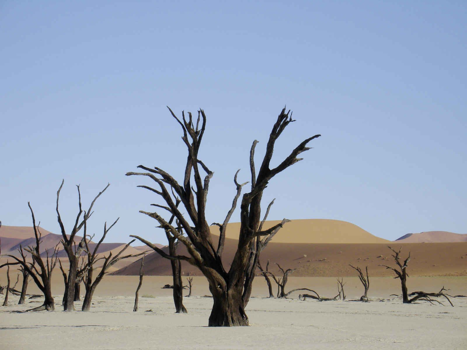 Namibie infinie pas cher photo 1