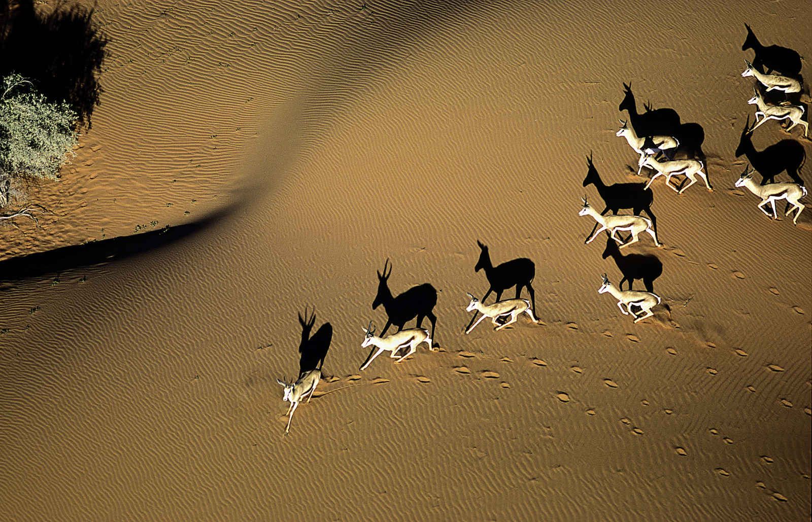 Namibie infinie pas cher photo 4