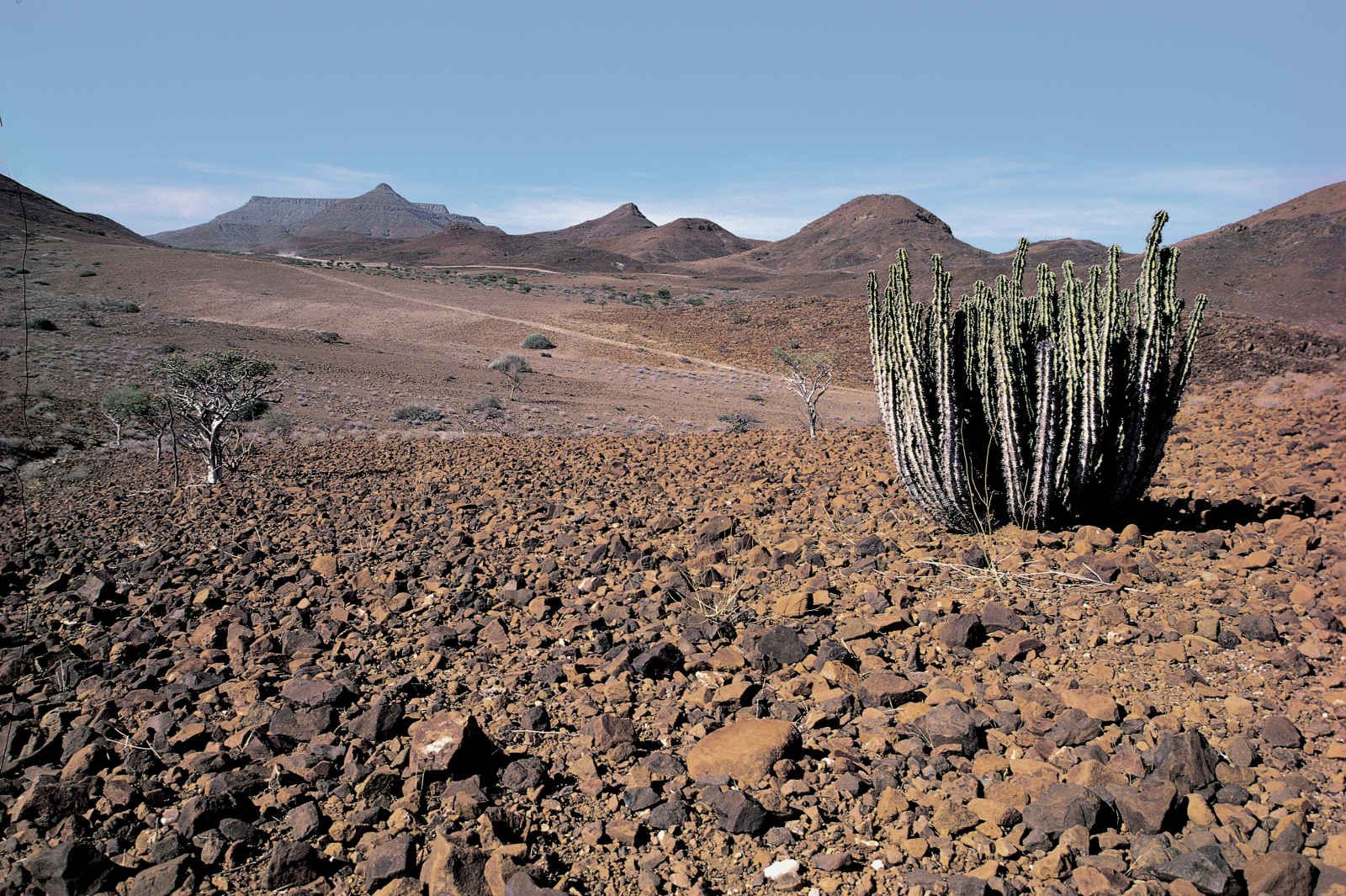 Namibie infinie pas cher photo 7