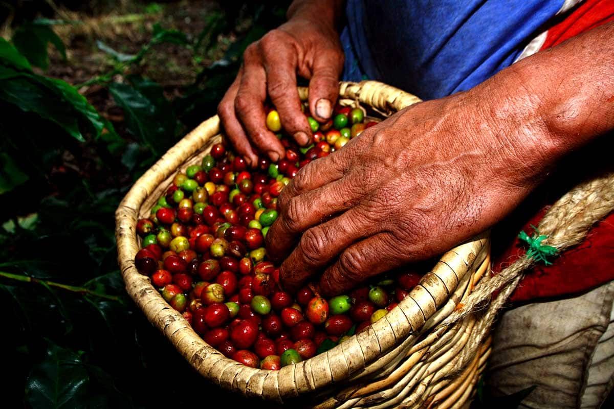Circuit Le diamant vert - Départs 2020 pas cher photo 1