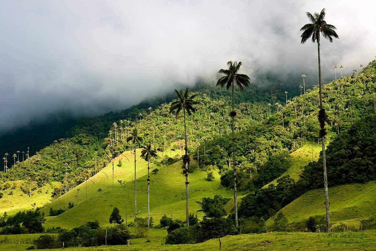 Circuit Le diamant vert - Départs 2020 pas cher photo 7