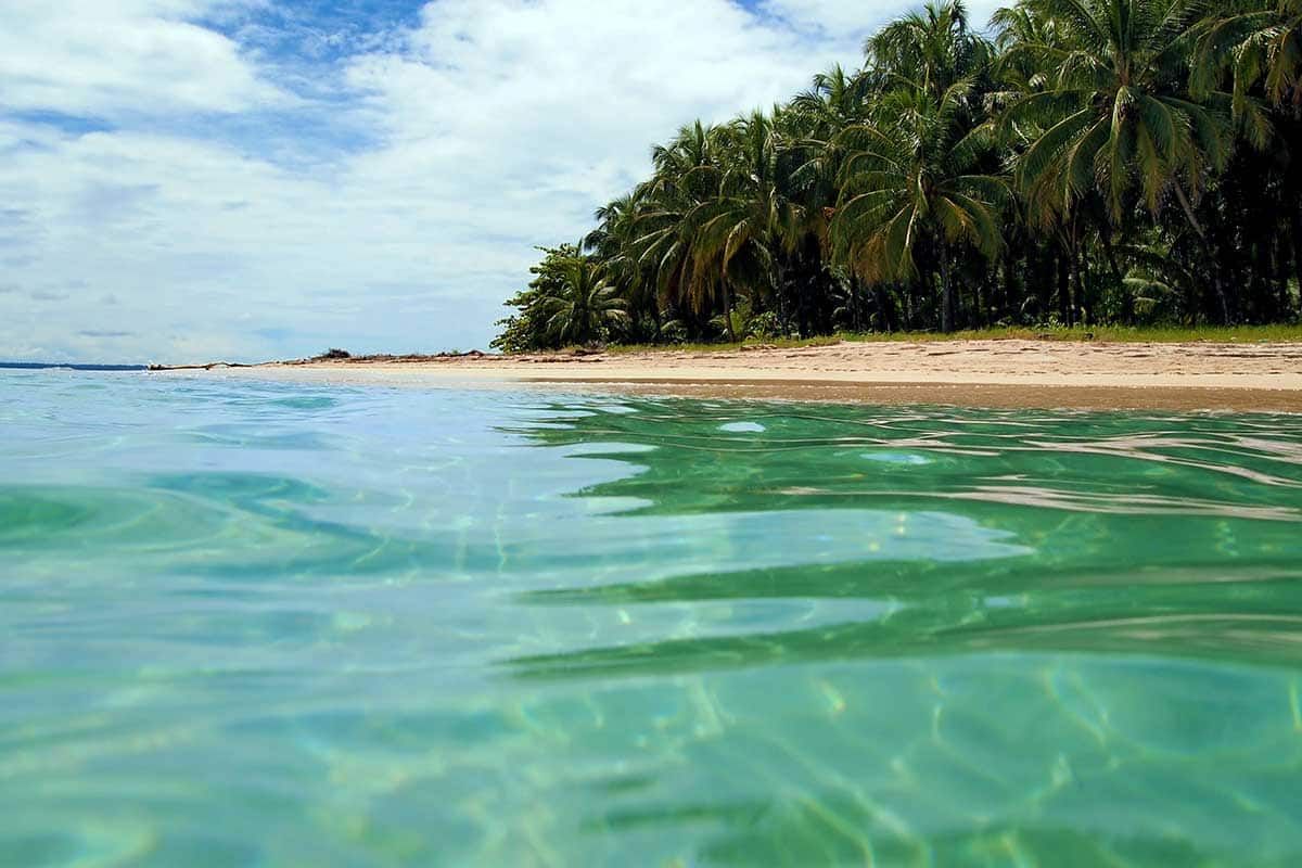 Circuit Merveilles du Costa Rica du Nord au Sud + Extension dans les Caraïbes et au Panama pas cher photo 12