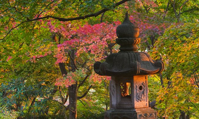 1ER REGARD JAPON + ALPES JAPONAISES pas cher photo 9