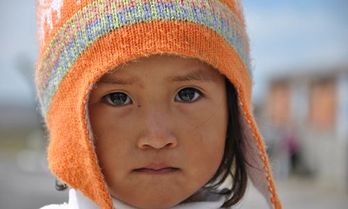 INDISPENSABLE PEROU & NAZCA ET AMAZONIE pas cher photo 3