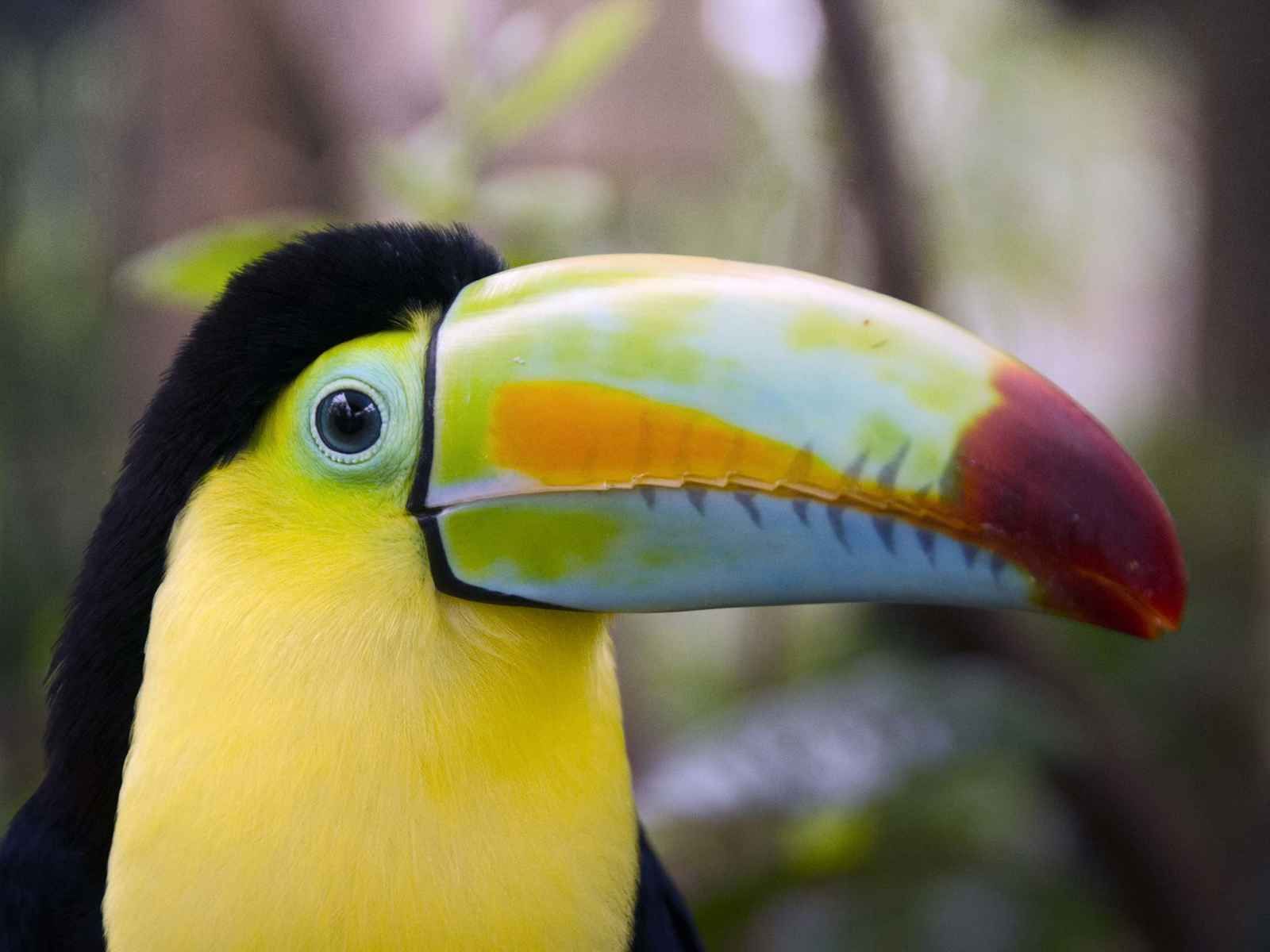 Paradis Sauvages pas cher photo 1