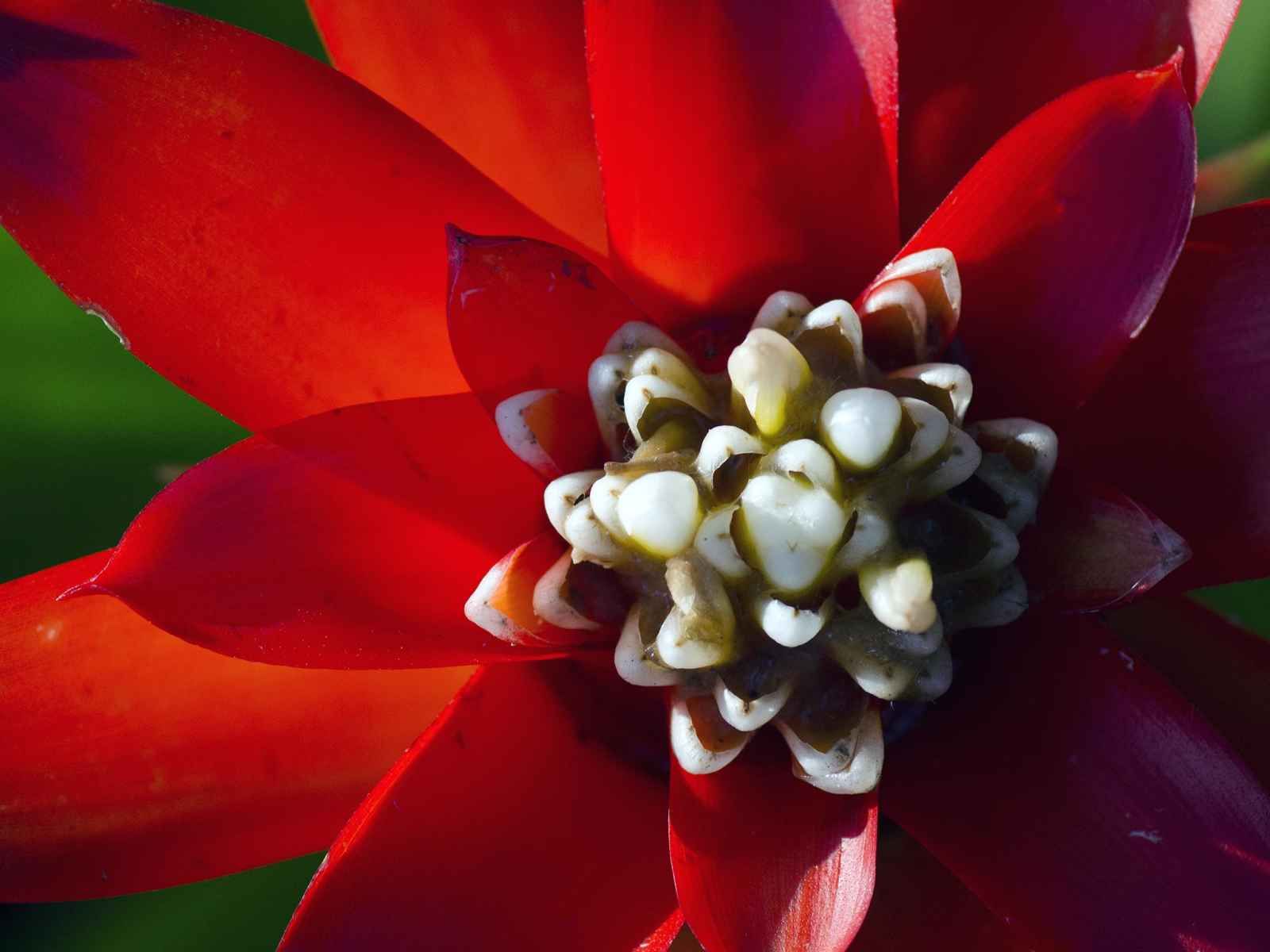 Paradis Sauvages pas cher photo 2