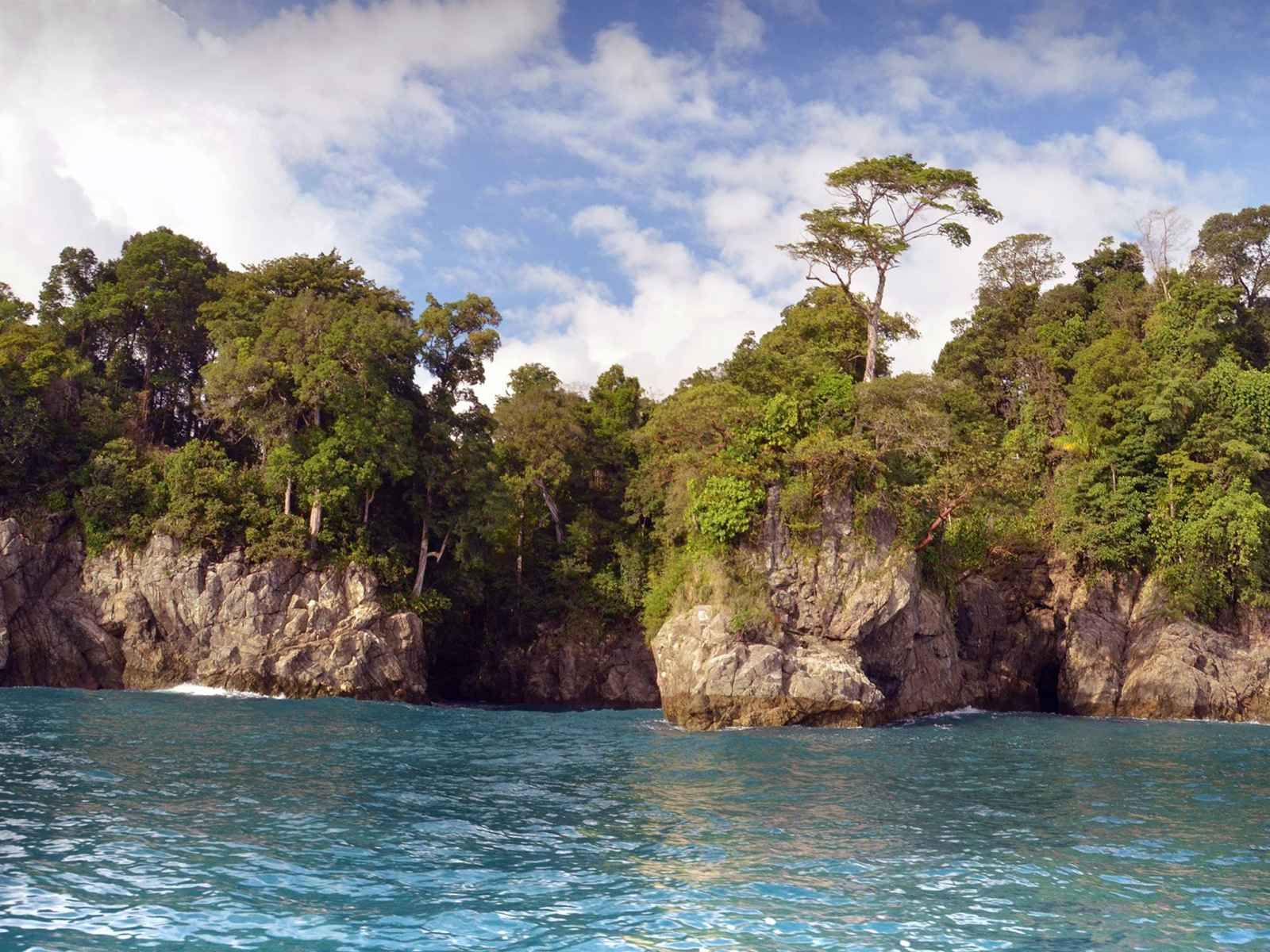 Paradis Sauvages pas cher photo 4