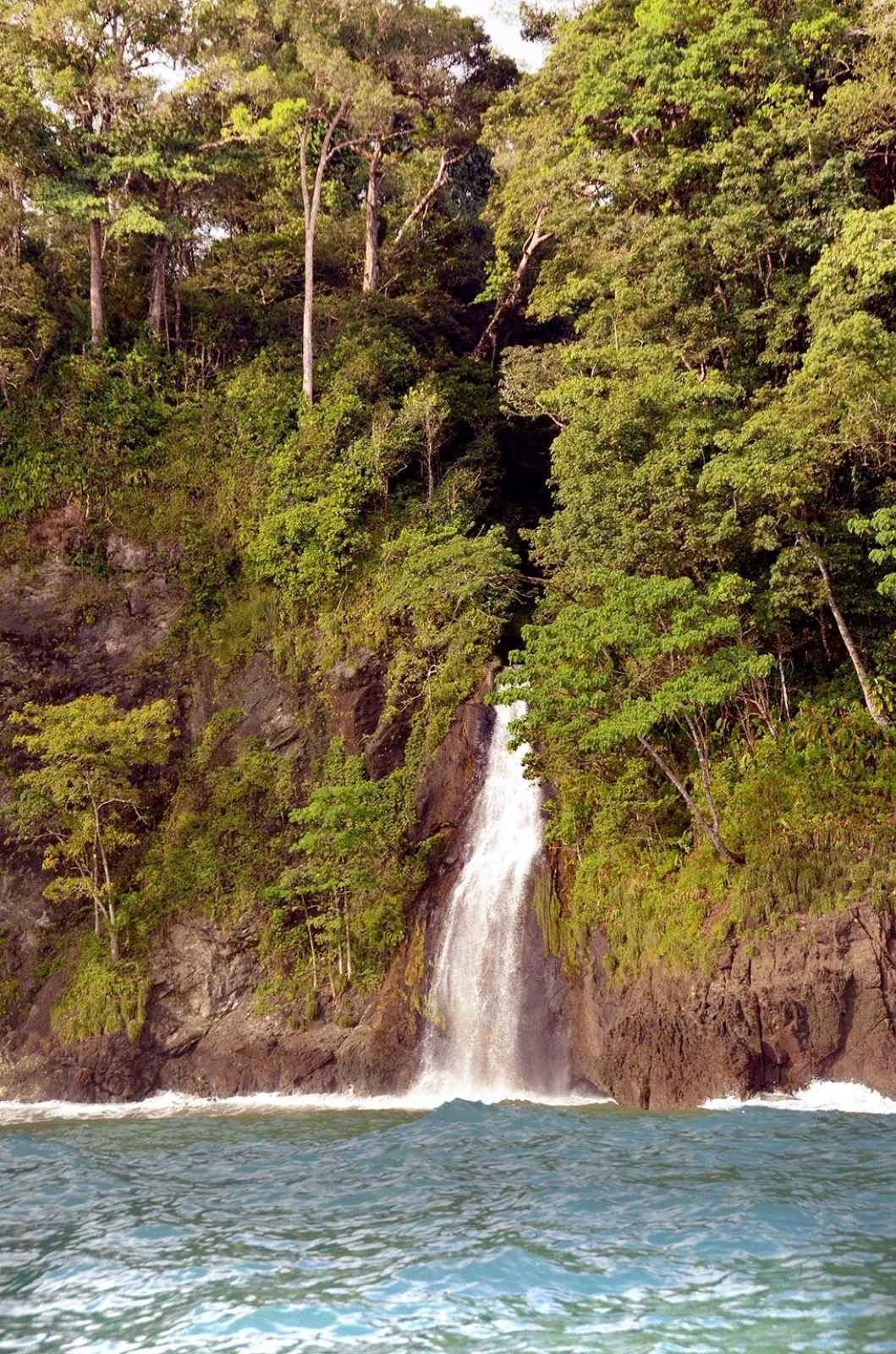 Paradis Sauvages pas cher photo 6