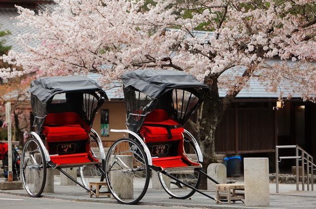 Japon Essentiel pas cher photo 5