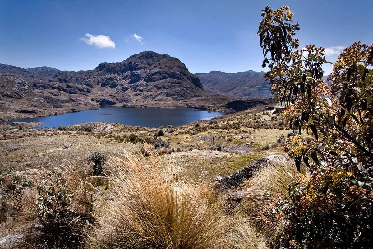 Circuit Au coeur des Galápagos pas cher photo 9