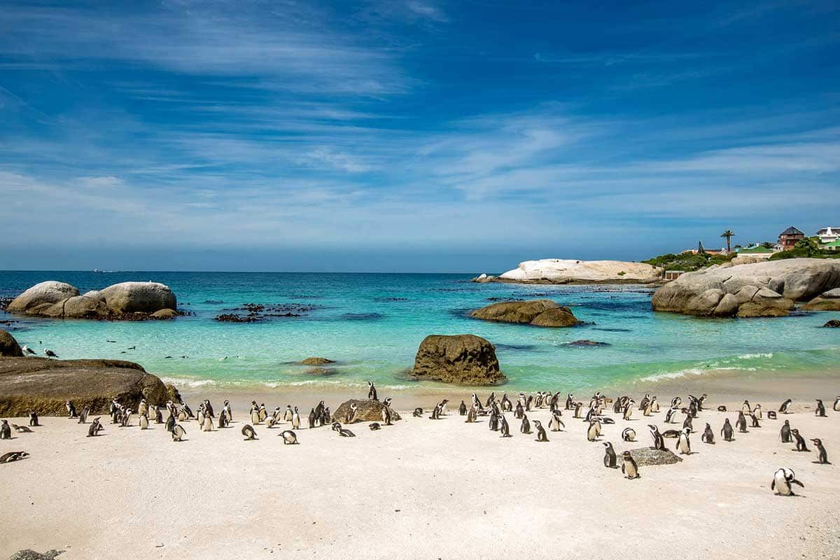 Circuit Pépites d'Afrique du sud pas cher photo 4