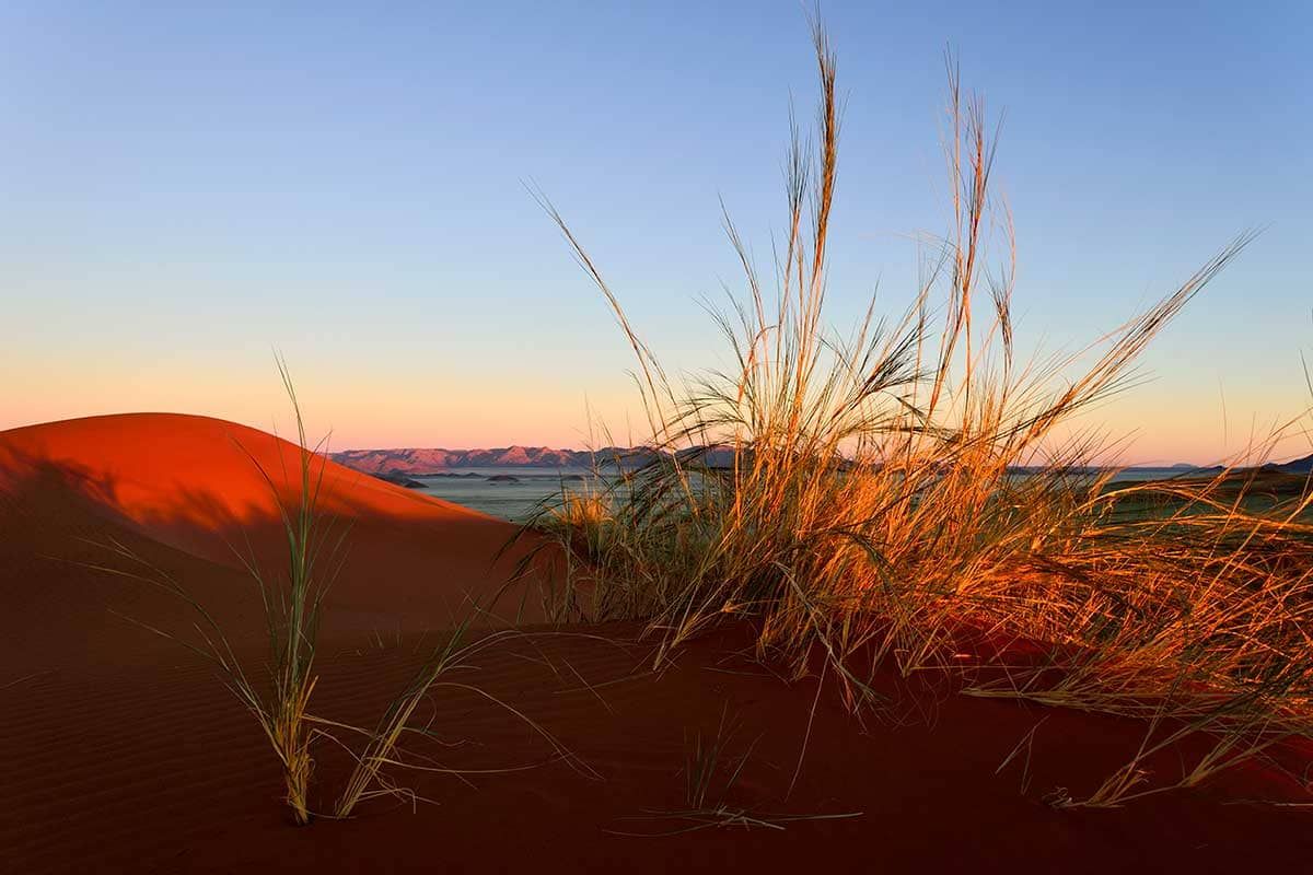 Circuit Envolée en terres australes : du Cap au désert du Namib pas cher photo 1