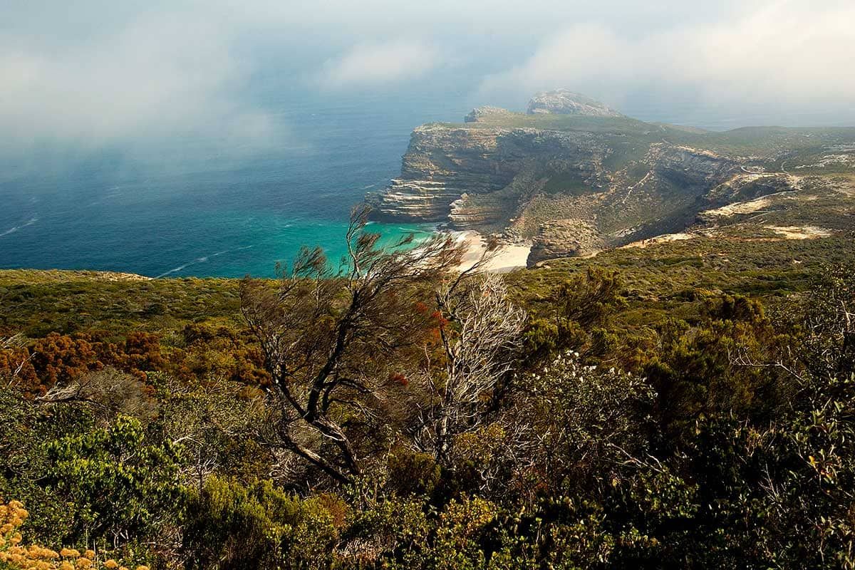 Circuit Envolée en terres australes : du Cap au désert du Namib pas cher photo 3