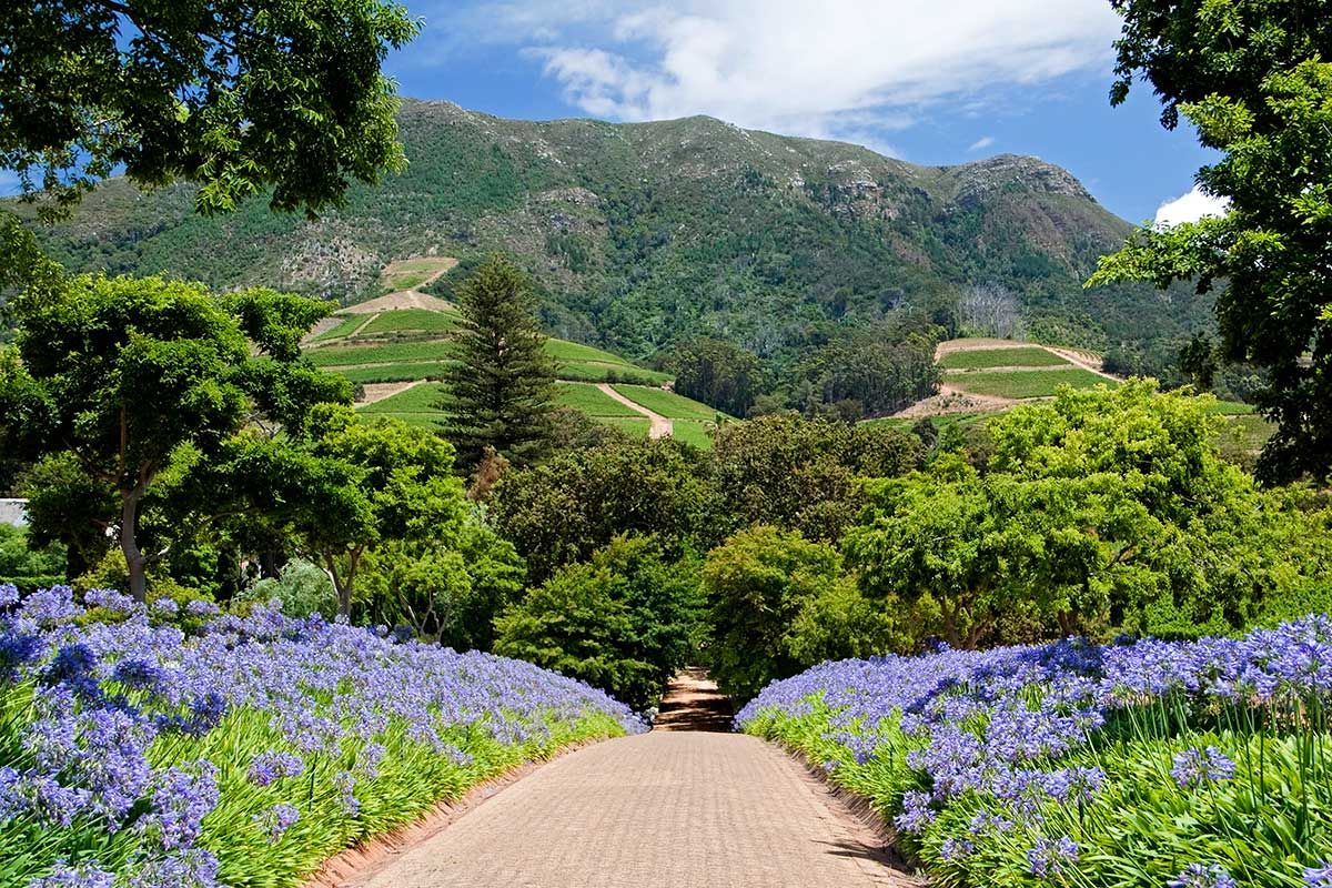 Circuit Envolée en terres australes : du Cap au désert du Namib pas cher photo 4