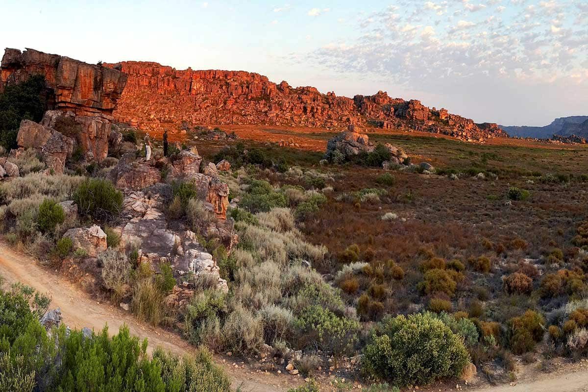 Circuit Envolée en terres australes : du Cap au désert du Namib pas cher photo 5