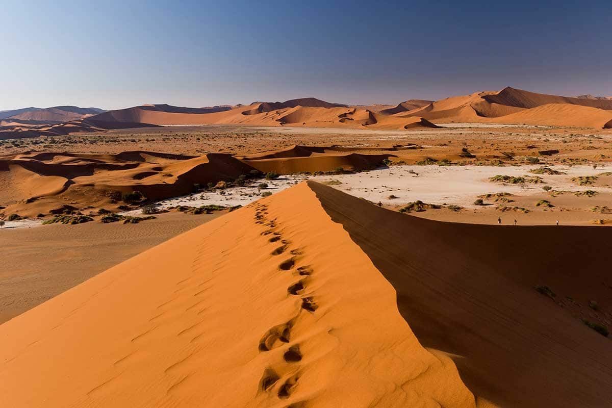 Circuit Envolée en terres australes : du Cap au désert du Namib pas cher photo 8
