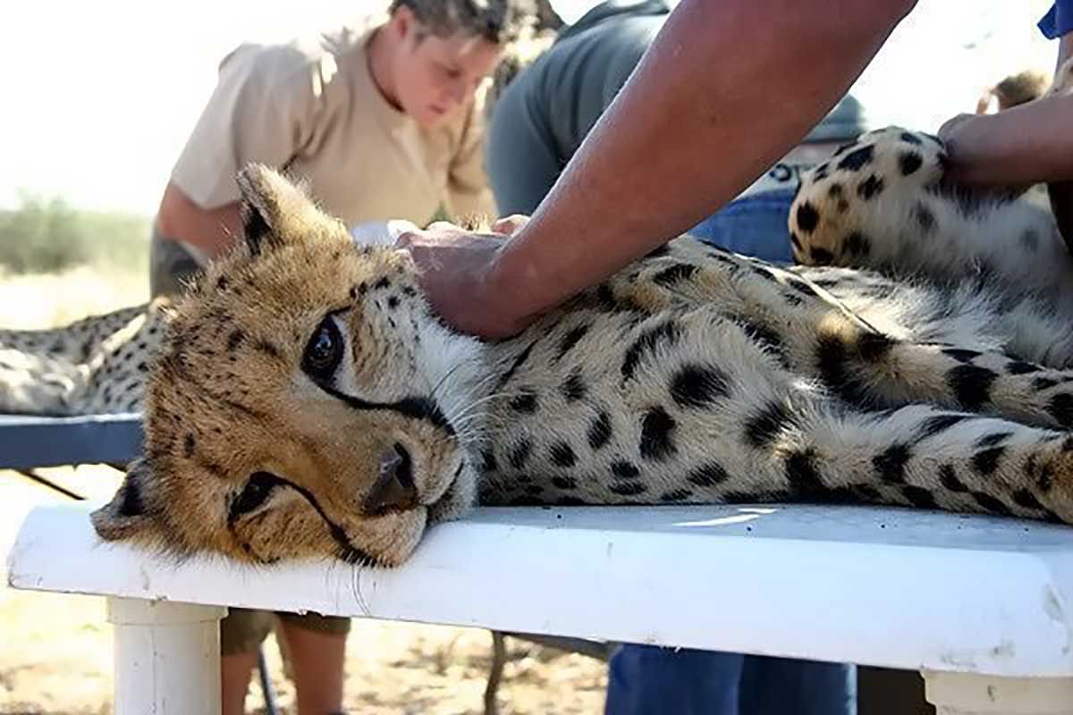 Circuit L'Afrique grandeur nature : déserts, canyons et grands espaces pas cher photo 3
