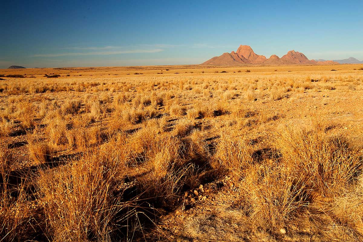 Circuit L'Afrique grandeur nature : déserts, canyons et grands espaces pas cher photo 7