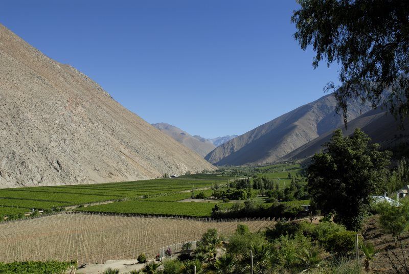 DECOUVERTE DU CHILI pas cher photo 4