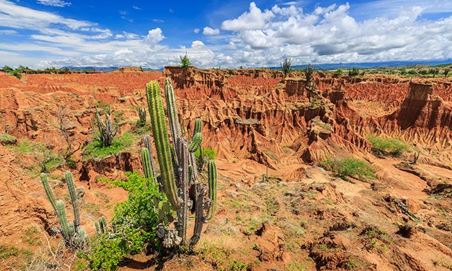 CONFIDENTIEL COLOMBIE pas cher photo 5