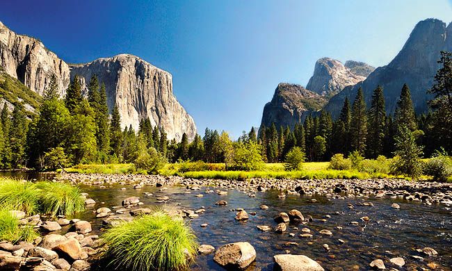 LUMIERE DES GRANDS PARCS pas cher photo 5