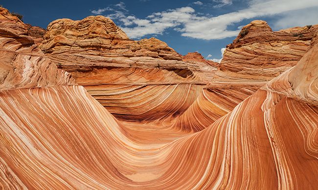 LUMIERE DES GRANDS PARCS pas cher photo 6