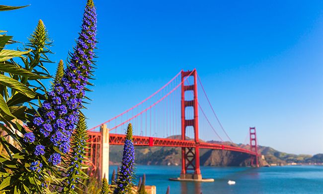 LUMIERE DES GRANDS PARCS pas cher photo 7