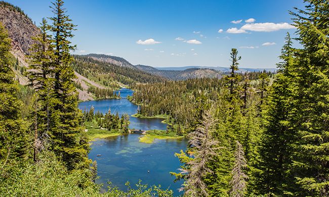 LUMIERE DES GRANDS PARCS pas cher photo 8