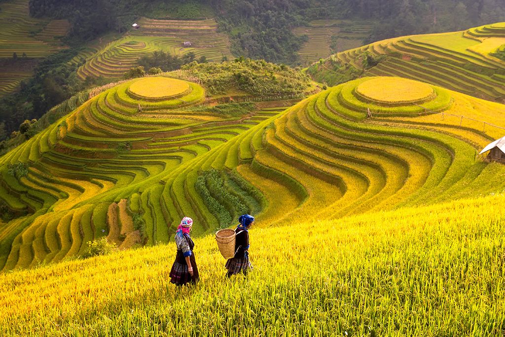 Circuit Grand Tour du Vietnam Laos Cambodge 4* pas cher photo 2