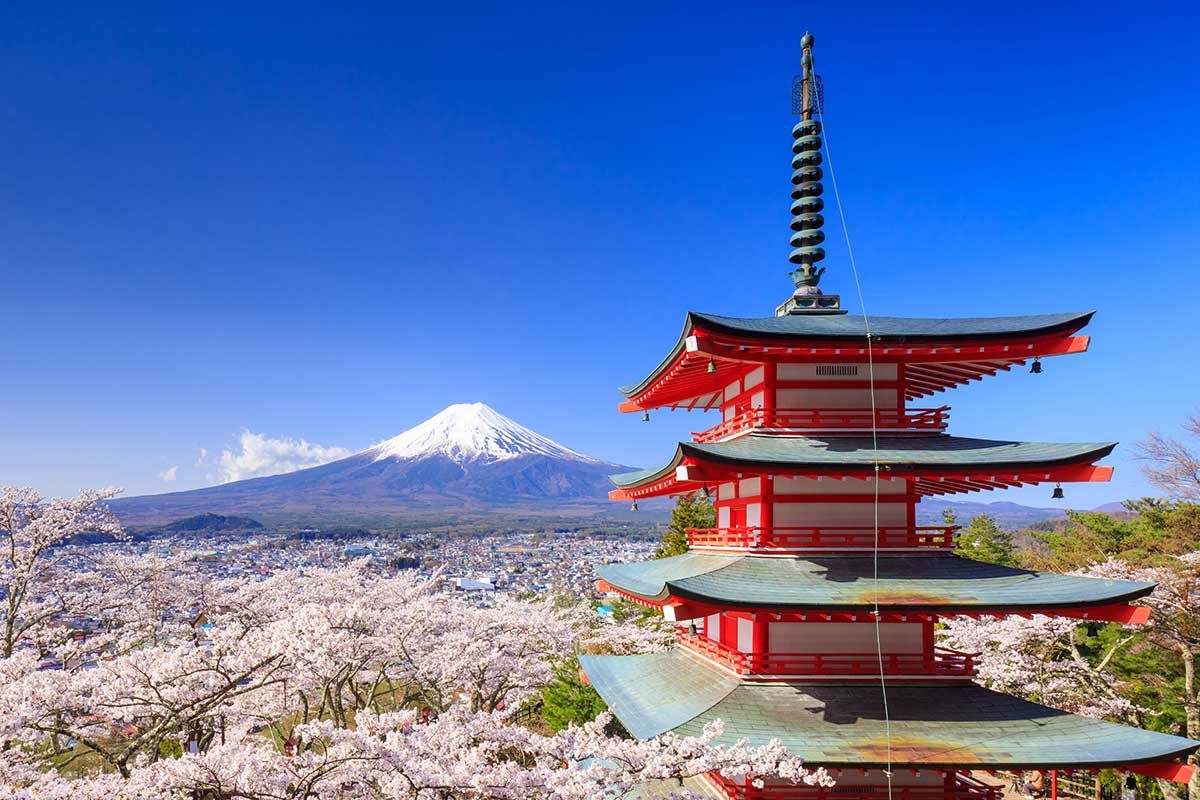 Circuit Japon, pays du Soleil Levant + Extension à Kyoto pas cher photo 5