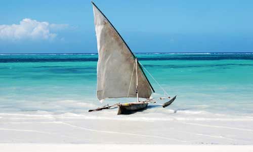 1ER REGARD TANZANIE + ZANZIBAR pas cher photo 4