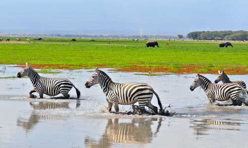 1ER REGARD TANZANIE + ZANZIBAR pas cher photo 8