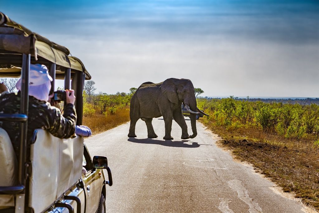 I LOVE AFRIQUE DU SUD, CHUTES VICTORIA ET PARC CHOBE 16J/14N 2019 pas cher photo 1