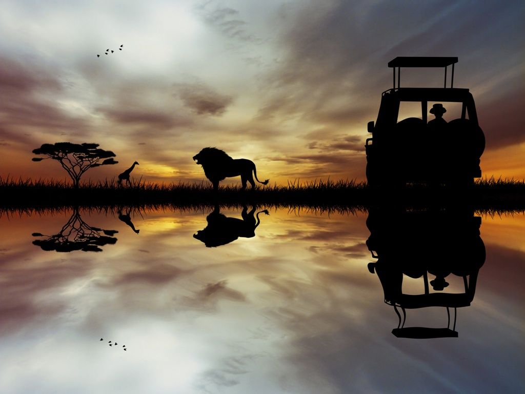 I LOVE AFRIQUE DU SUD , CHUTES VICTORIA ET PARC CHOBE - 16J/14N 2020 pas cher photo 8