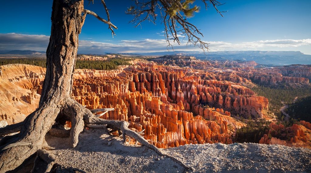 INCONTOURNABLES ROCKIES EXT. NEW YORK - 20J/18N pas cher photo 3